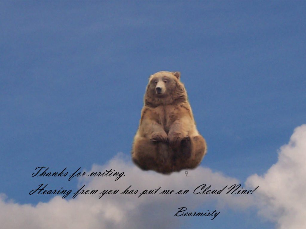 Bear on cloud